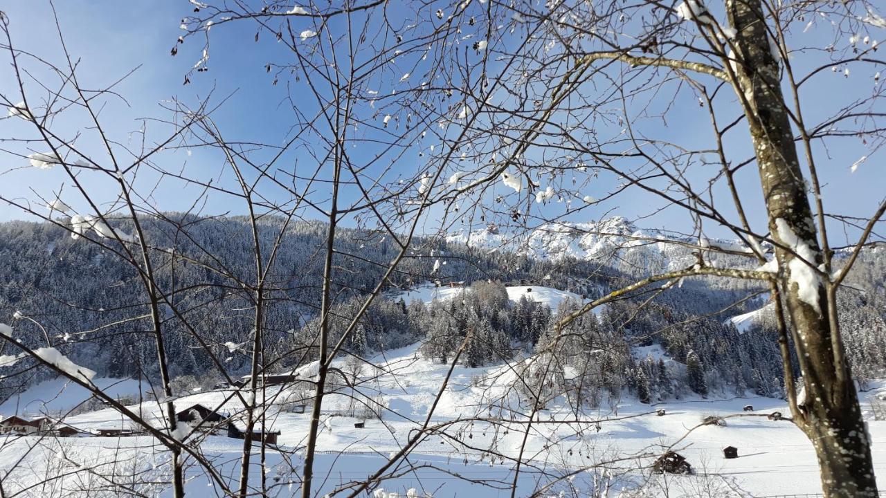 Haus Ruetzbach Apartman Neustift im Stubaital Kültér fotó